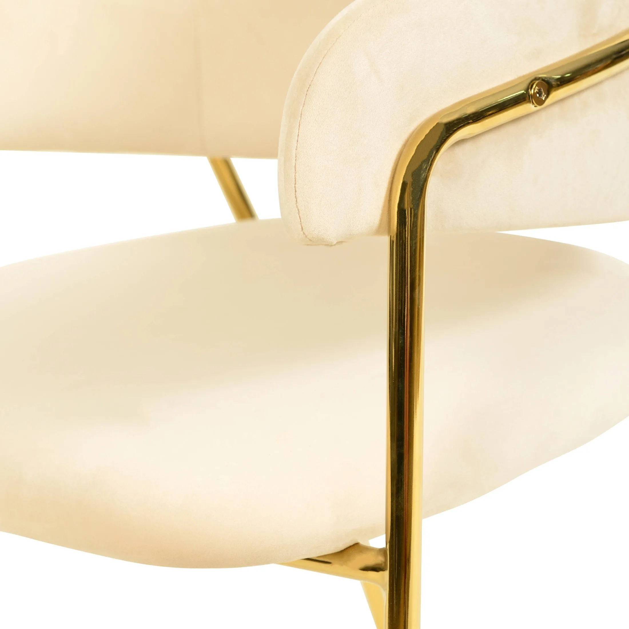 Axis Upholstered Dining Chairs Curved Open-Back & Gold Legs Set of 2
