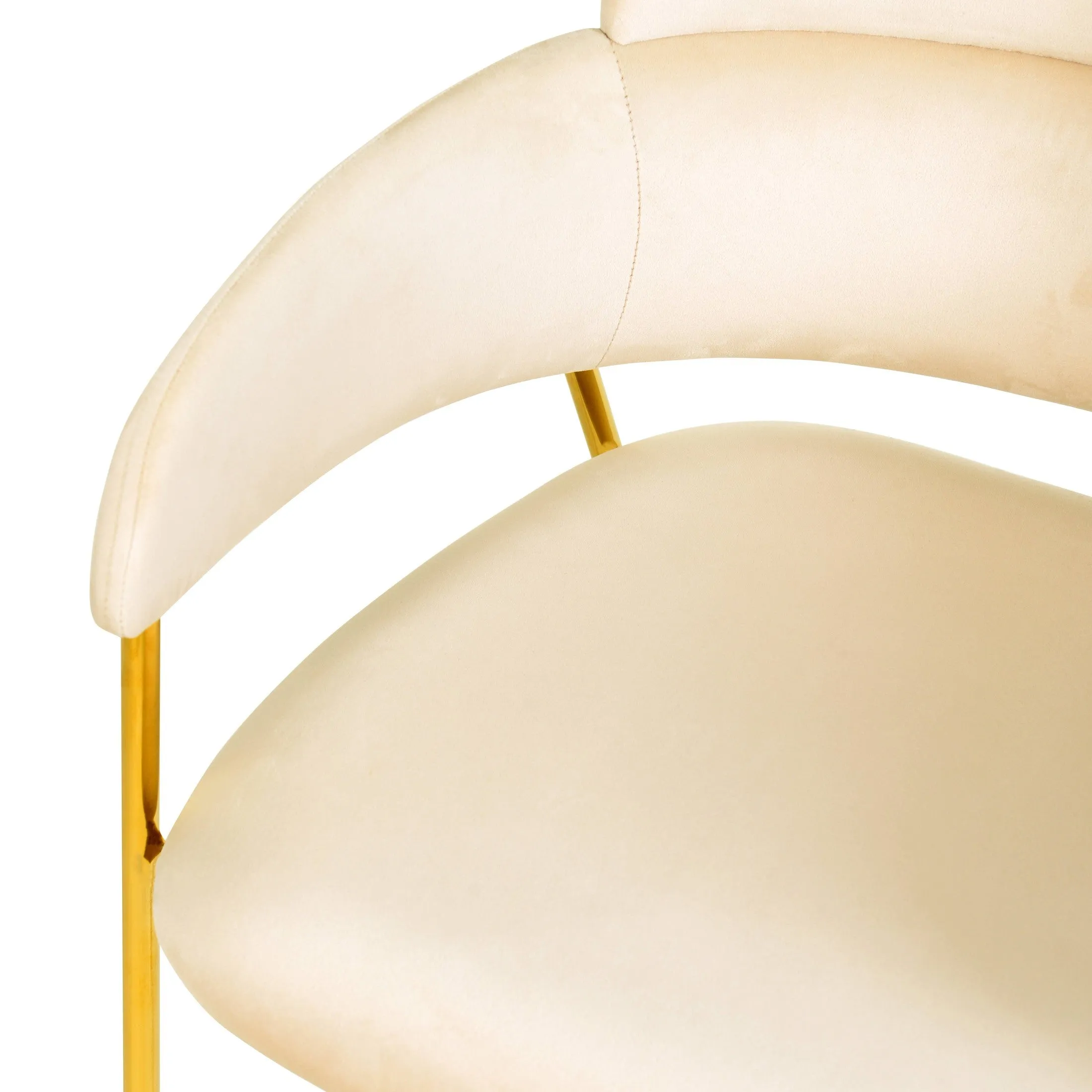 Axis Upholstered Dining Chairs Curved Open-Back & Gold Legs Set of 2