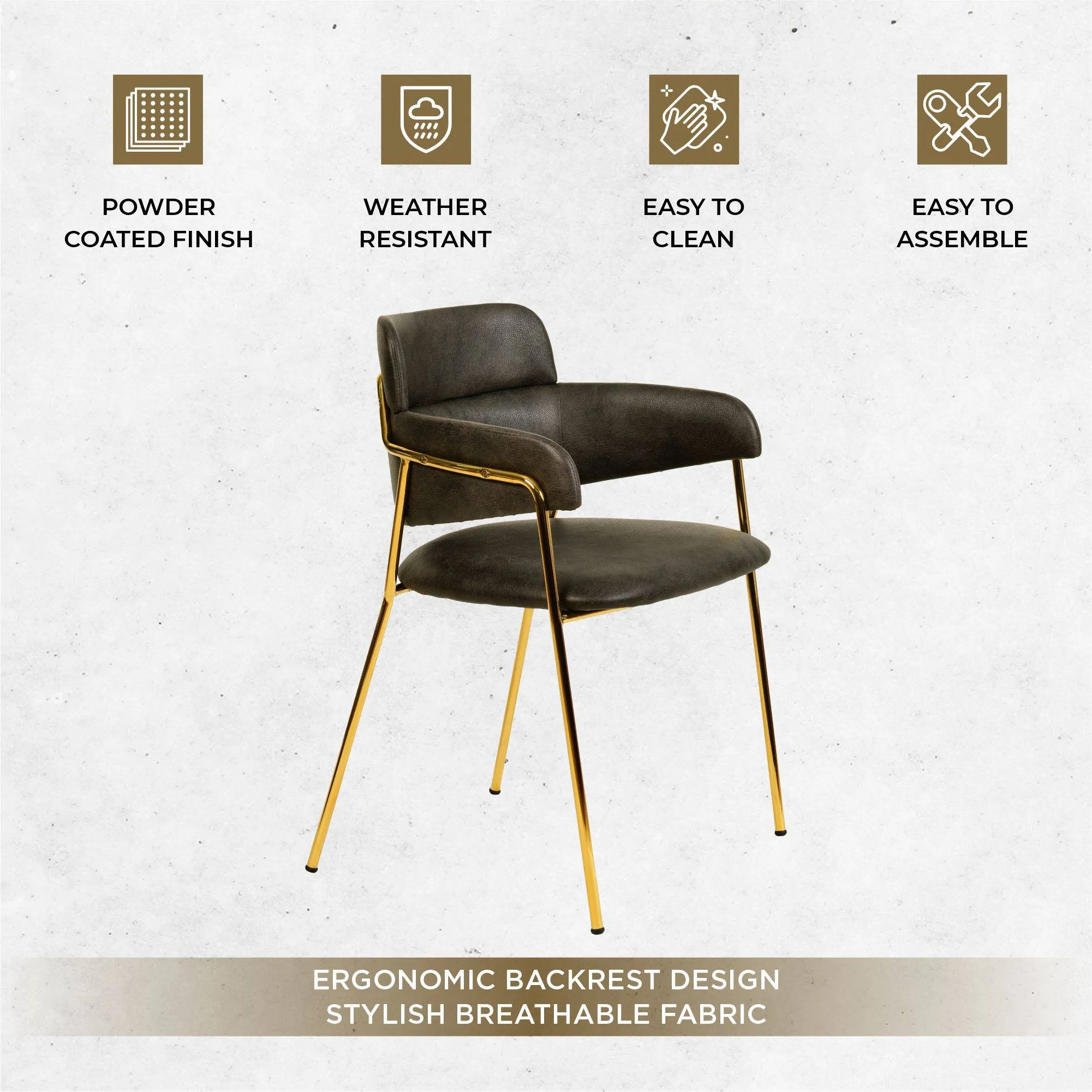 Axis Upholstered Dining Chairs Curved Open-Back & Gold Legs Set of 2