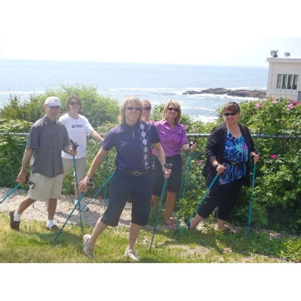 Blue Breeze Hiking & Walking Poles w-flip locks, detachable feet and travel bag - pair - For Heights up to 6’2”