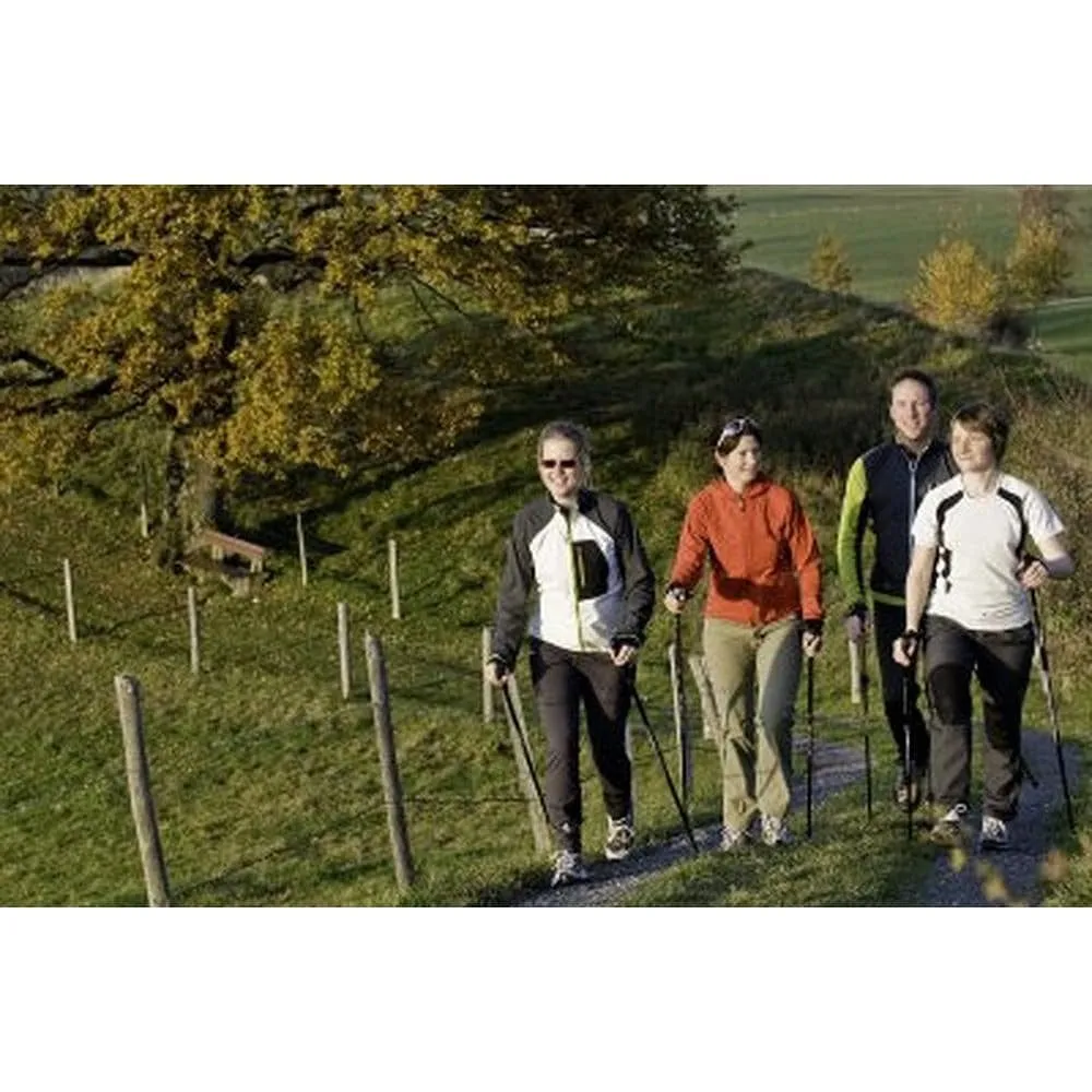 Blue Breeze Hiking & Walking Poles w-flip locks, detachable feet and travel bag - pair - For Heights up to 6’2”