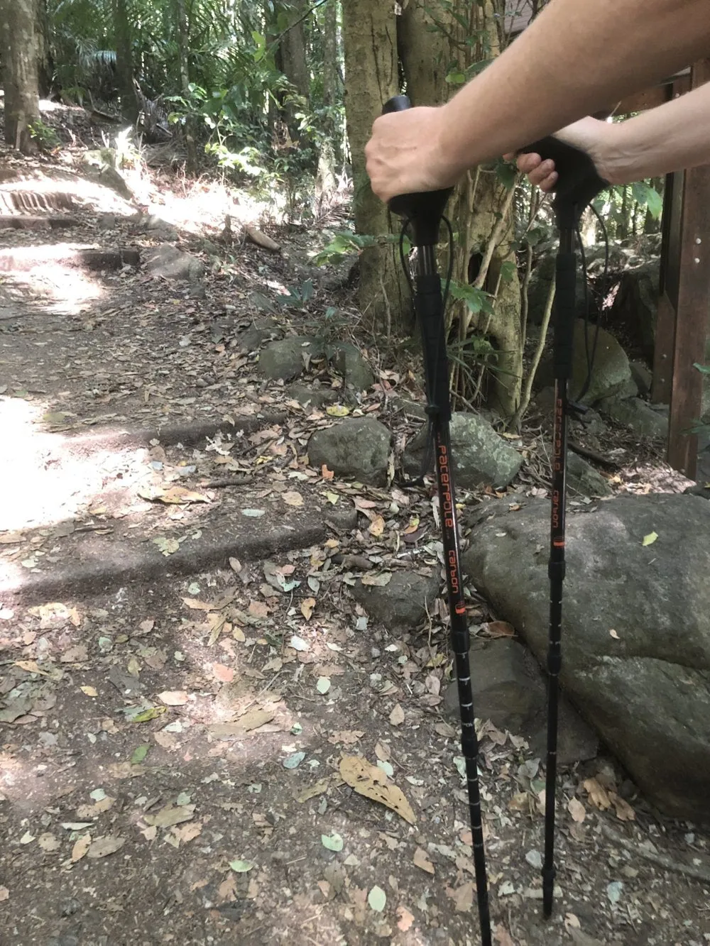 Pacer Poles - Ex-rental