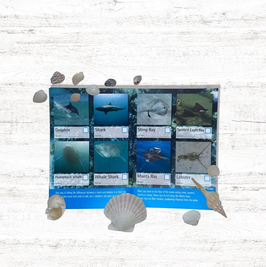 Spotto Book - Coastal